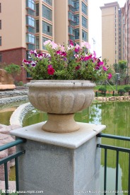 花盆