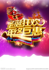 圣诞狂欢 年终巨惠