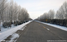 通村公路