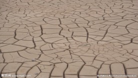 干枯 裂缝 裂纹 旱灾 干涸