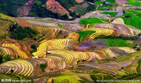 梯田