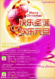 圣诞元旦双节庆海报