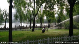迎泽公园