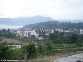 绿色风景