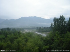 绿色风景