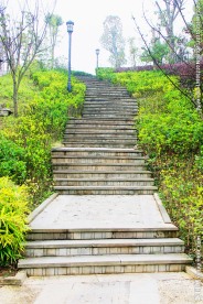 公园小径