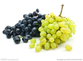 葡萄
