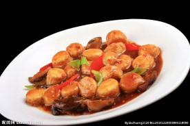 红烧日本豆腐