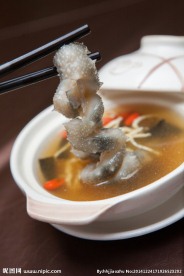 鸡汤活海参