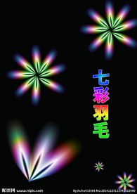 七彩羽毛   七彩花
