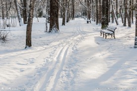 雪景