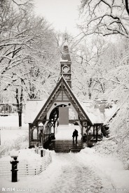 雪景