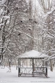 雪景