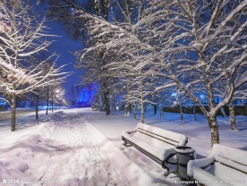 雪景