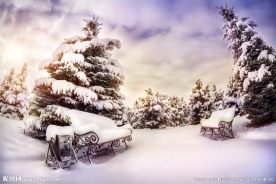 雪景