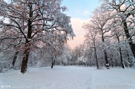 雪景