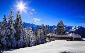 雪景