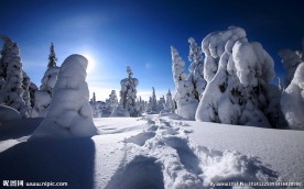 雪后风景