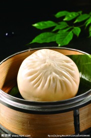 酱肉大包子