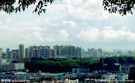 楼群建筑城市楼海