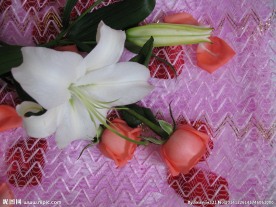 鲜花
