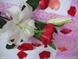 鲜花