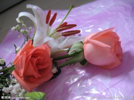 鲜花