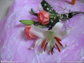 鲜花