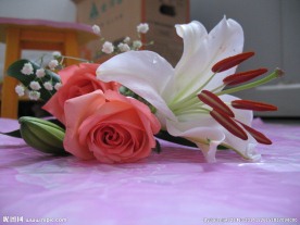 鲜花