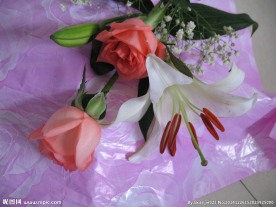 鲜花