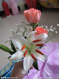 鲜花