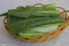 油麦菜 香麦