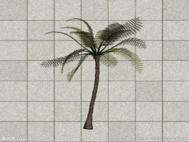热带植物3D模型