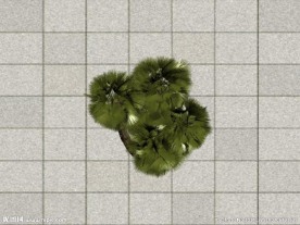灌木3D模型