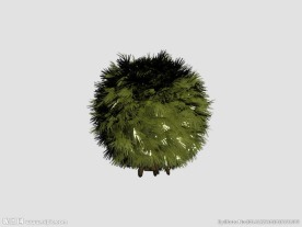 灌木3D模型