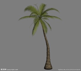 热带树3D模型
