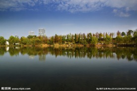 城市风景