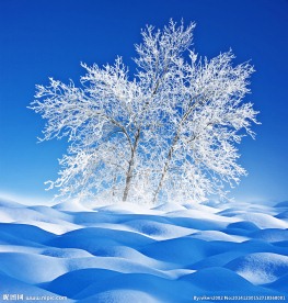 冰天雪地