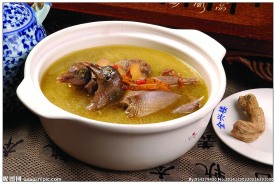 天麻炖乳鸽