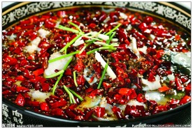 水煮鱼元斤