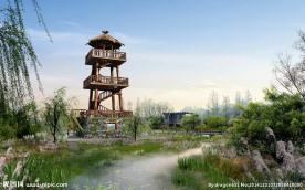 湿地上的观景塔