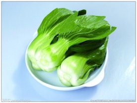 油菜