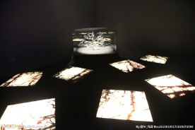 迪奥展览作品
