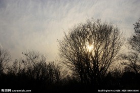 黄昏的夕阳