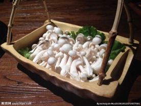白玉菇
