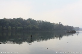 杭州 西湖 树木 街道 环保