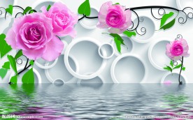 3D立体三维倒影花