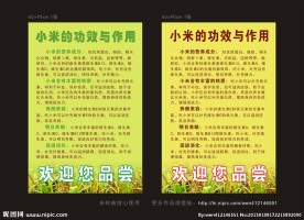 小米粥的功效海报图片