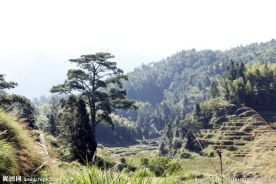 乡村美景