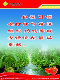 企业文化